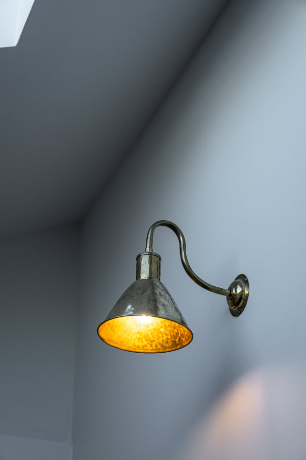 Himalayan Tundra Gooseneck Brass Light